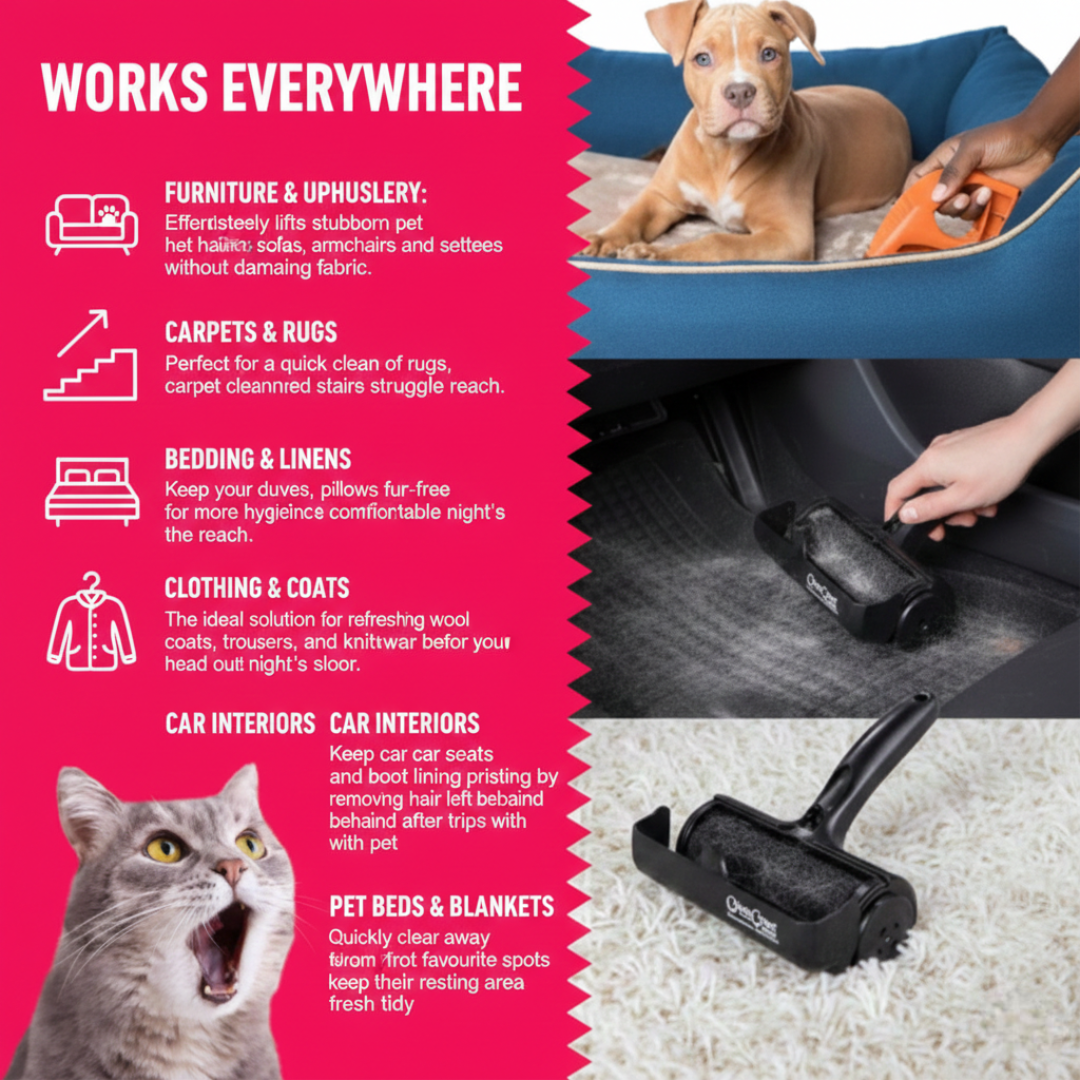 Infographic demonstrating the ChomChom Roller being used on various surfaces: a brown puppy in a blue pet bed, a hand cleaning the boot lining of a car, and a black roller lifting fur from a white deep-pile rug. The text describes applications for cleaning settees, trousers, knitwear, and carpeted stairs.